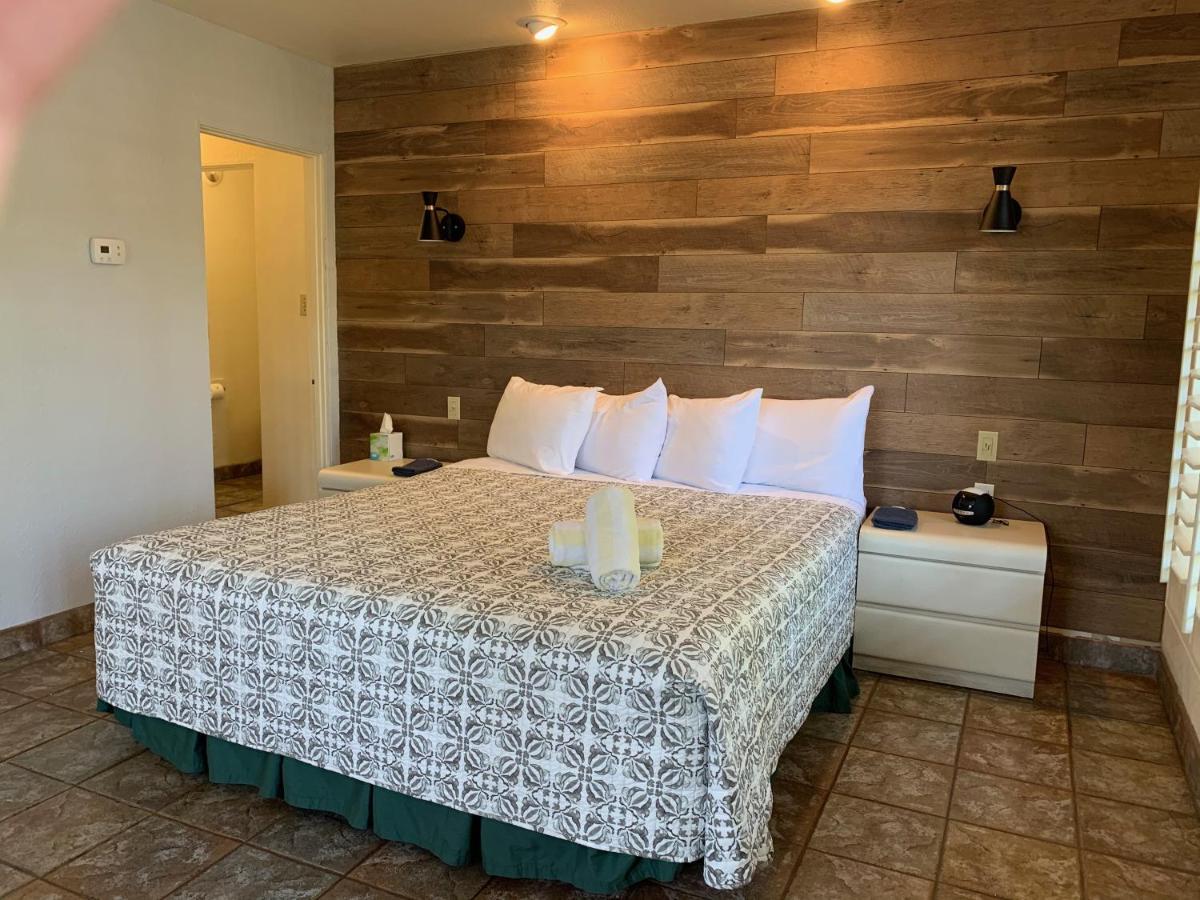 Desert Paradise Gay Mens Clothing Optional Resort Παλμ Σπρινγκς Εξωτερικό φωτογραφία